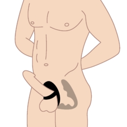 Cock ring with a butt plug graphic