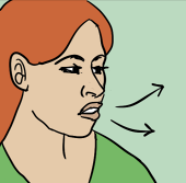 Nasal spray graphic
