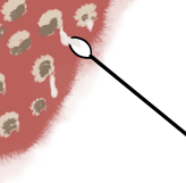 Collect blister fluid graphic
