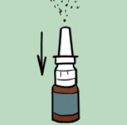 Priming nasal spray graphic