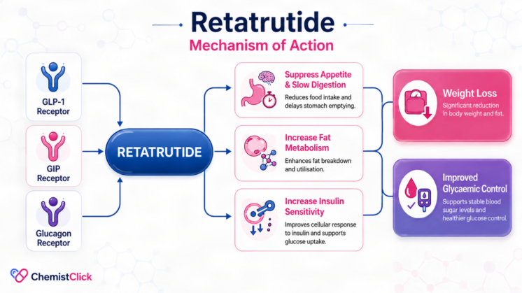 An infographic showing retatrutide mechanism of action and how it works.